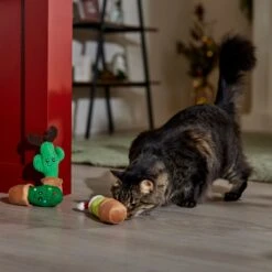 Frisco Holiday Cactus Plush Cat Toy With Catnip, 3 Count -Meowverse Store 287329 PT3. AC SS1800 V1661874421
