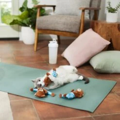 Frisco New Year, New Me Namaste Bear Plush Cat Toy With Catnip 5 Frisco New Year, New Me Namaste Bear Plush Cat Toy With Catnip -Meowverse Store 288947 PT3. AC SS1800 V1638289414