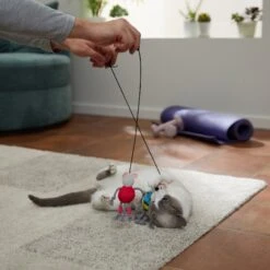 Frisco New Year, New Me Gym Bouncy Mice Plush Cat Toy With Catnip -Meowverse Store 288949 PT3. AC SS1800 V1638289802