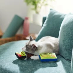 Frisco Protein Bar & Gym Membership Plush Cat Toy With Catnip -Meowverse Store 288951 PT3. AC SS1800 V1638290814