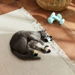 Frisco Pre-Workout & Protein Plush Cat Toy With Catnip, 3 Count -Meowverse Store 288953 PT3. AC SS1800 V1638287817