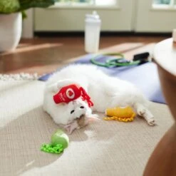 Frisco New Year, New Me Juice Cleanse Plush Cat Toy With Catnip -Meowverse Store 288957 PT3. AC SS1800 V1638292099