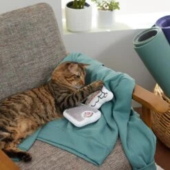 Frisco Scale & Message Bubble Plush Cat Toy With Catnip, 2 Count -Meowverse Store 288959 PT3. AC SS1800 V1638288401