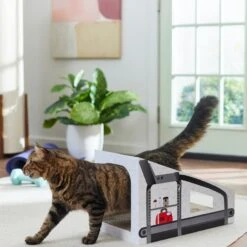 Frisco Treadmill Cardboard Cat House 7 Frisco Treadmill Cardboard Cat House -Meowverse Store 288967 PT3. AC SS1800 V1638288289