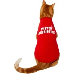 Frisco Mister Irresistible Dog & Cat T-Shirt -Meowverse Store 292026 PT2. AC SS1800 V1637268745