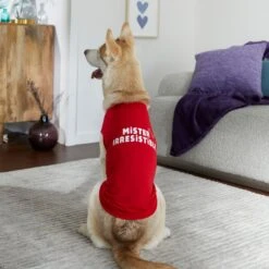 Frisco Mister Irresistible Dog & Cat T-Shirt -Meowverse Store 292026 PT6. AC SS1800 V1701797008