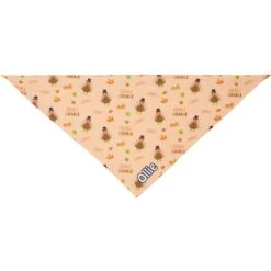 Frisco Quirky Thanksgiving Personalized Dog & Cat Bandana 12 Frisco Quirky Thanksgiving Personalized Dog & Cat Bandana -Meowverse Store 296986 PT3. AC SS1800 V1627654956