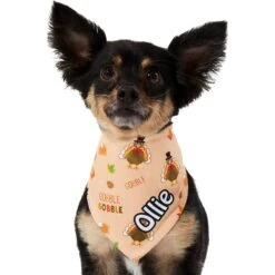 Frisco Quirky Thanksgiving Personalized Dog & Cat Bandana 15 Frisco Quirky Thanksgiving Personalized Dog & Cat Bandana -Meowverse Store 296986 PT6. AC SS1800 V1627654020
