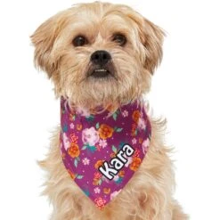 Frisco Fall Floral Personalized Dog & Cat Bandana 15 Frisco Fall Floral Personalized Dog & Cat Bandana -Meowverse Store 296990 PT6. AC SS1800 V1627654305