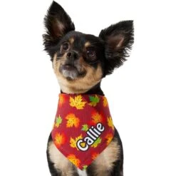 Frisco Fall Leaves Personalized Dog & Cat Bandana 15 Frisco Fall Leaves Personalized Dog & Cat Bandana -Meowverse Store 296994 PT6. AC SS1800 V1627654351