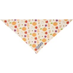 Frisco Pumpkin Spice Personalized Dog & Cat Bandana -Meowverse Store 296998 PT3. AC SS1800 V1627654117