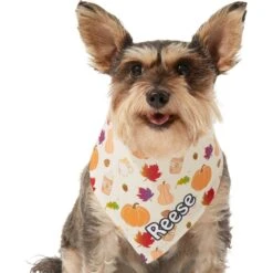 Frisco Pumpkin Spice Personalized Dog & Cat Bandana -Meowverse Store 296998 PT6. AC SS1800 V1627654408