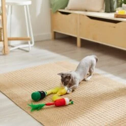 Frisco Brunch Bottomless Mimosas Plush Cat Toy With Catnip, 3 Count -Meowverse Store 297288 PT2. AC SS1800 V1642088553