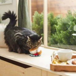 Frisco Brunch Teacup Plush Cat Toy With Catnip -Meowverse Store 297292 PT2. AC SS1800 V1642088843