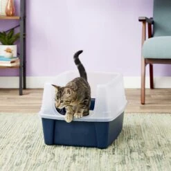 Frisco Plastic Litter Scooper With Caddy & IRIS USA Open Top Litter Box With Scatter Shield 13 Frisco Plastic Litter Scooper With Caddy & IRIS USA Open Top Litter Box With Scatter Shield -Meowverse Store 298166 PT6. AC SS1800 V1623202669