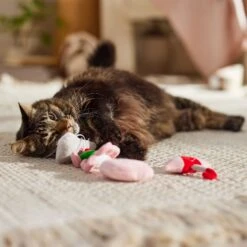 Frisco It's Raining Love Plush Cat Toy With Catnip, 4 Count -Meowverse Store 298968 PT3. AC SS1800 V1701364859