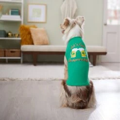 Frisco Let's Get Shamrocked Dog & Cat T-Shirt -Meowverse Store 300184 PT8. AC SS1800 V1639597401