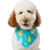 Frisco Spring Easter Egg Dog & Cat Bandana