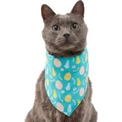 Frisco Spring Easter Egg Dog & Cat Bandana 9 Frisco Spring Easter Egg Dog & Cat Bandana -Meowverse Store 300663 PT2. AC SS1800 V1641537094