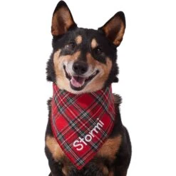 Frisco Tartan Plaid Embroidered Personalized Dog & Cat Bandana 13 Frisco Tartan Plaid Embroidered Personalized Dog & Cat Bandana -Meowverse Store 301157 PT6. AC SS1800 V1628536009
