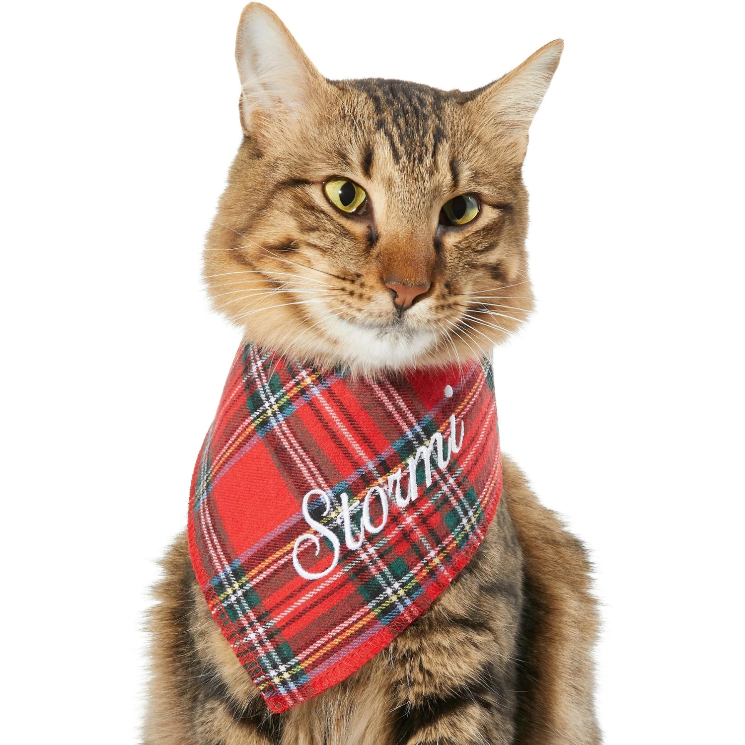 Frisco Tartan Plaid Embroidered Personalized Dog & Cat Bandana 7 Frisco Tartan Plaid Embroidered Personalized Dog & Cat Bandana - Image 7