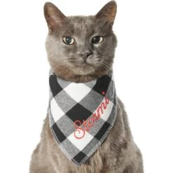 Frisco Buffalo Check Embroidered Personalized Dog & Cat Bandana -Meowverse Store 301162 PT7. AC SS1800 V1628535983