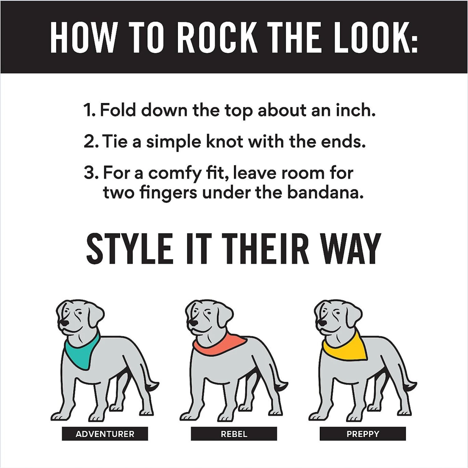 Frisco Official Cookie Tester Personalized Dog & Cat Bandana 3 Frisco Official Cookie Tester Personalized Dog & Cat Bandana - Image 3