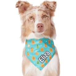 Frisco Gingerbread Cookie Personalized Dog & Cat Bandana 14 Frisco Gingerbread Cookie Personalized Dog & Cat Bandana -Meowverse Store 301361 PT6. AC SS1800 V1628100109