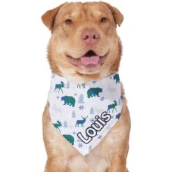 Frisco Buffalo Plaid Winter Animals Personalized Dog & Cat Bandana -Meowverse Store 301365 PT6. AC SS1800 V1628100123