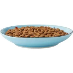 Frisco New York Non-skid Ceramic Cat Dish & Frisco New York Non-skid Ceramic Cat Bowl 11 Frisco New York Non-skid Ceramic Cat Dish & Frisco New York Non-skid Ceramic Cat Bowl -Meowverse Store 302488 PT2. AC SS1800 V1623059244