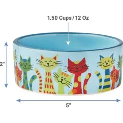 Frisco New York Non-skid Ceramic Cat Dish & Frisco New York Non-skid Ceramic Cat Bowl 16 Frisco New York Non-skid Ceramic Cat Dish & Frisco New York Non-skid Ceramic Cat Bowl -Meowverse Store 302488 PT7. AC SS1800 V1623052360