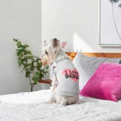 Frisco I Love Daddy Dog & Cat T-Shirt, Gray & Frisco I Love Mommy Dog & Cat T-Shirt -Meowverse Store 302760 PT3. AC SS1800 V1623034662