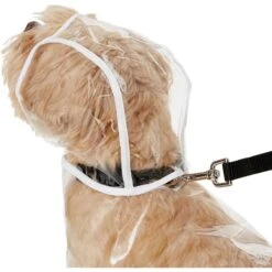 Frisco Lightweight Rainy Days Dog Raincoat & Frisco Lightweight Clear Vinyl Dog Raincoat -Meowverse Store 302814 PT6. AC SS1800 V1623065256