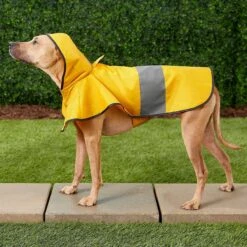 Frisco Lightweight Rainy Days Dog Raincoat & Frisco Lightweight Flamingo Dog Raincoat 13 Frisco Lightweight Rainy Days Dog Raincoat & Frisco Lightweight Flamingo Dog Raincoat -Meowverse Store 302828 PT4. AC SS1800 V1623042144