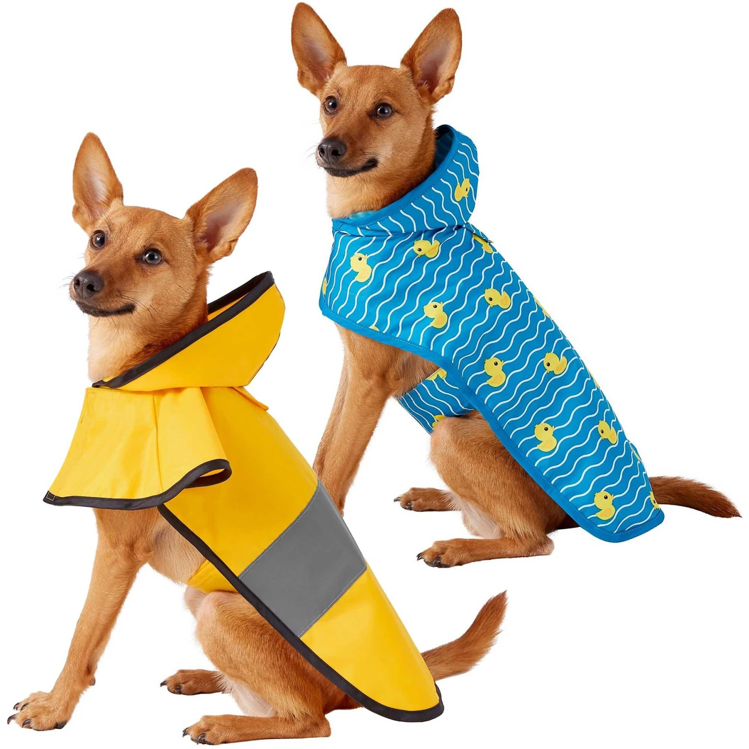 Frisco Lightweight Rainy Days Dog Raincoat & Frisco Lightweight Rubber Ducky Dog Raincoat 1 Frisco Lightweight Rainy Days Dog Raincoat & Frisco Lightweight Rubber Ducky Dog Raincoat