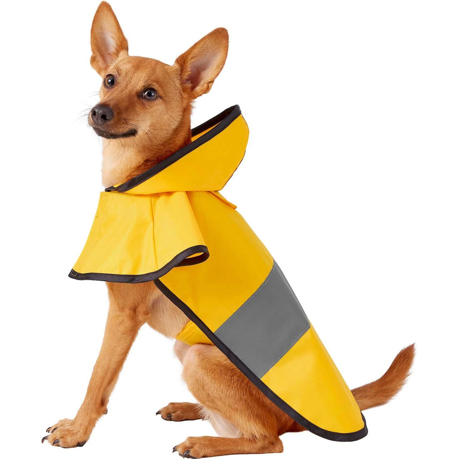 Frisco Lightweight Rainy Days Dog Raincoat & Frisco Lightweight Rubber Ducky Dog Raincoat 2 Frisco Lightweight Rainy Days Dog Raincoat & Frisco Lightweight Rubber Ducky Dog Raincoat - Image 2