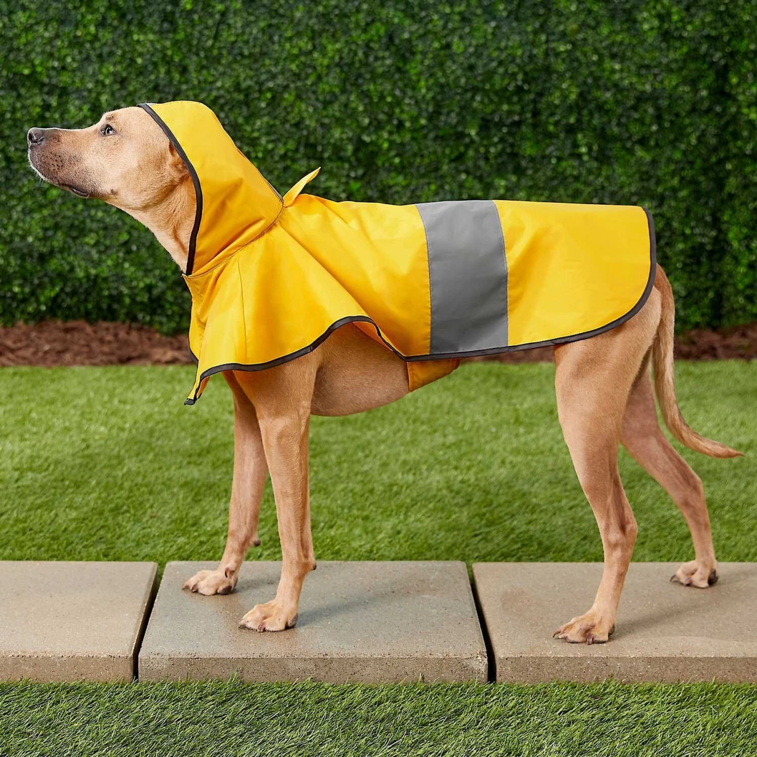Frisco Lightweight Rainy Days Dog Raincoat & Frisco Lightweight Rubber Ducky Dog Raincoat 5 Frisco Lightweight Rainy Days Dog Raincoat & Frisco Lightweight Rubber Ducky Dog Raincoat - Image 5
