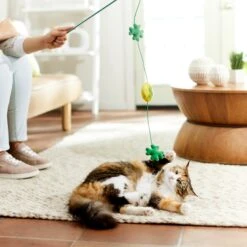 Frisco St. Patrick's Shamrock Teaser Wand Cat Toy With Catnip -Meowverse Store 303108 PT3. AC SS1800 V1641230422