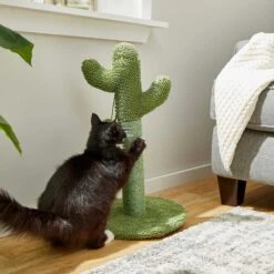 Frisco Cactus Cat Scratching Post & Frisco Dangly Avocado Buddy Plush Cat Toy With Catnip -Meowverse Store 303380 PT3. AC SS1800 V1623081149