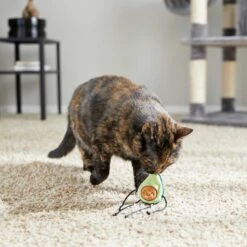 Frisco Cactus Cat Scratching Post & Frisco Dangly Avocado Buddy Plush Cat Toy With Catnip -Meowverse Store 303380 PT6. AC SS1800 V1623085642