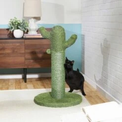 Frisco Cactus Cat Scratching Post & Frisco Taco Plush Cat Toy With Catnip 9 Frisco Cactus Cat Scratching Post & Frisco Taco Plush Cat Toy With Catnip -Meowverse Store 303382 PT3. AC SS1800 V1623071255