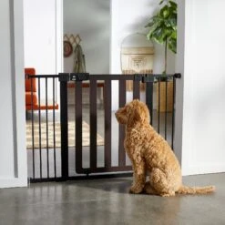 Frisco Wood & Metal Extra Wide Auto-close Dog Gate