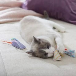 Frisco Spring Party Hat Kickers Cat Toy With Catnip -Meowverse Store 306960 PT3. AC SS1800 V1703184746