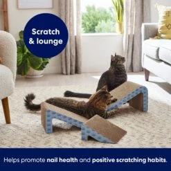 Frisco Nesting Cat Scratcher Toy With Catnip -Meowverse Store 308876 PT5. AC SS1800 V1691785301