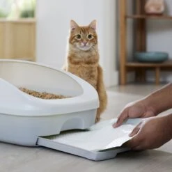 Frisco Cat Litter Pads, Scented -Meowverse Store 309828 PT5. AC SS1800 V1675280050