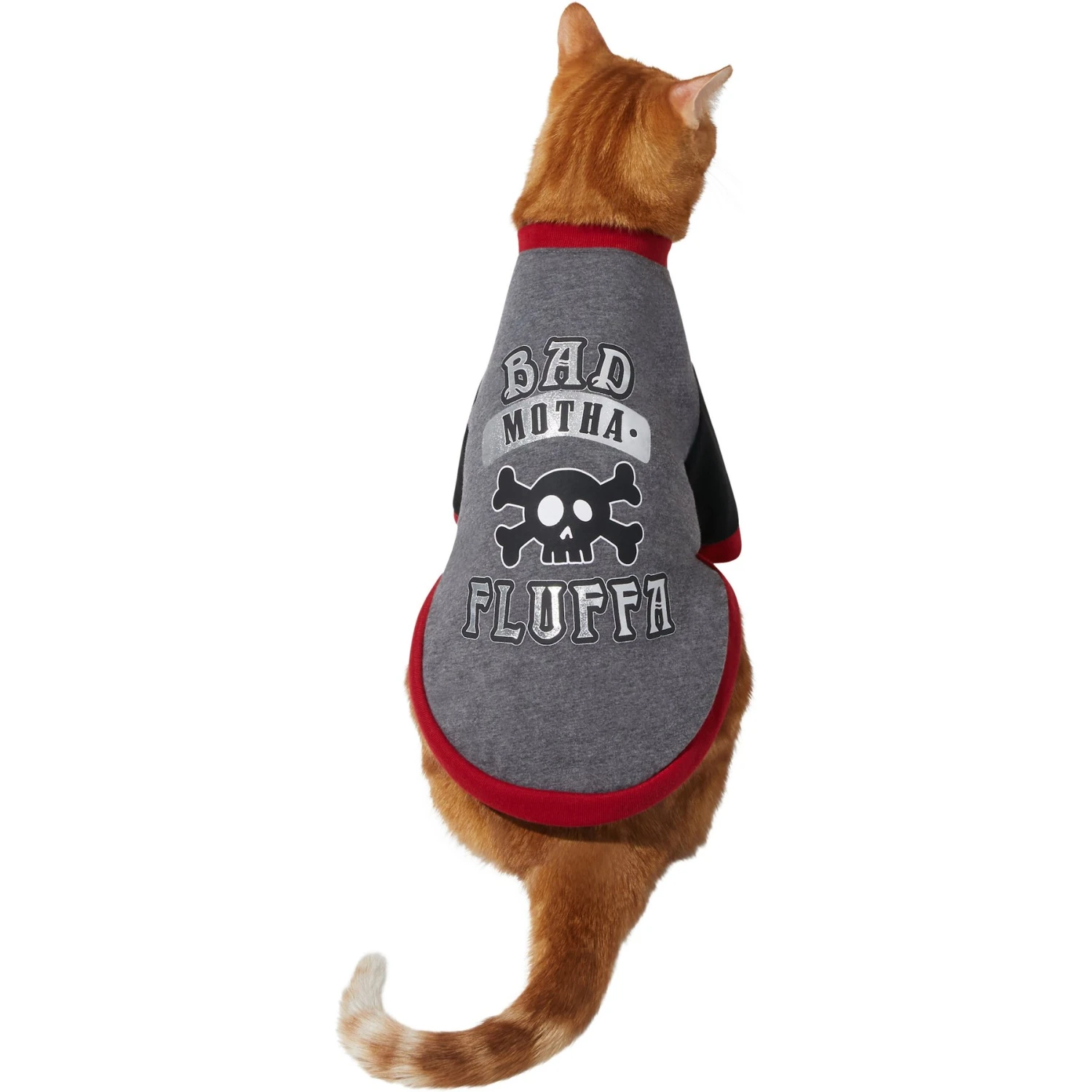 Frisco Bad Motha Fluffa Dog & Cat T-Shirt 3 Frisco Bad Motha Fluffa Dog & Cat T-Shirt - Image 3