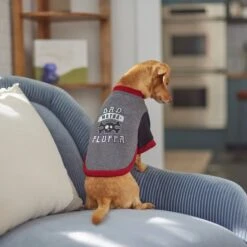 Frisco Bad Motha Fluffa Dog & Cat T-Shirt 11 Frisco Bad Motha Fluffa Dog & Cat T-Shirt -Meowverse Store 312048 PT8. AC SS1800 V1644446866