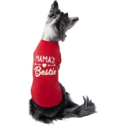 Frisco Mama's Bestie Dog & Cat T-Shirt