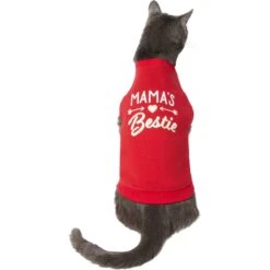 Frisco Mama's Bestie Dog & Cat T-Shirt 9 Frisco Mama's Bestie Dog & Cat T-Shirt -Meowverse Store 312056 PT2. AC SS1800 V1644425822