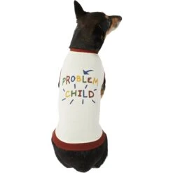 Frisco Problem Child Dog & Cat T-Shirt 10 Frisco Problem Child Dog & Cat T-Shirt -Meowverse Store 312064 PT3. AC SS1800 V1673303532